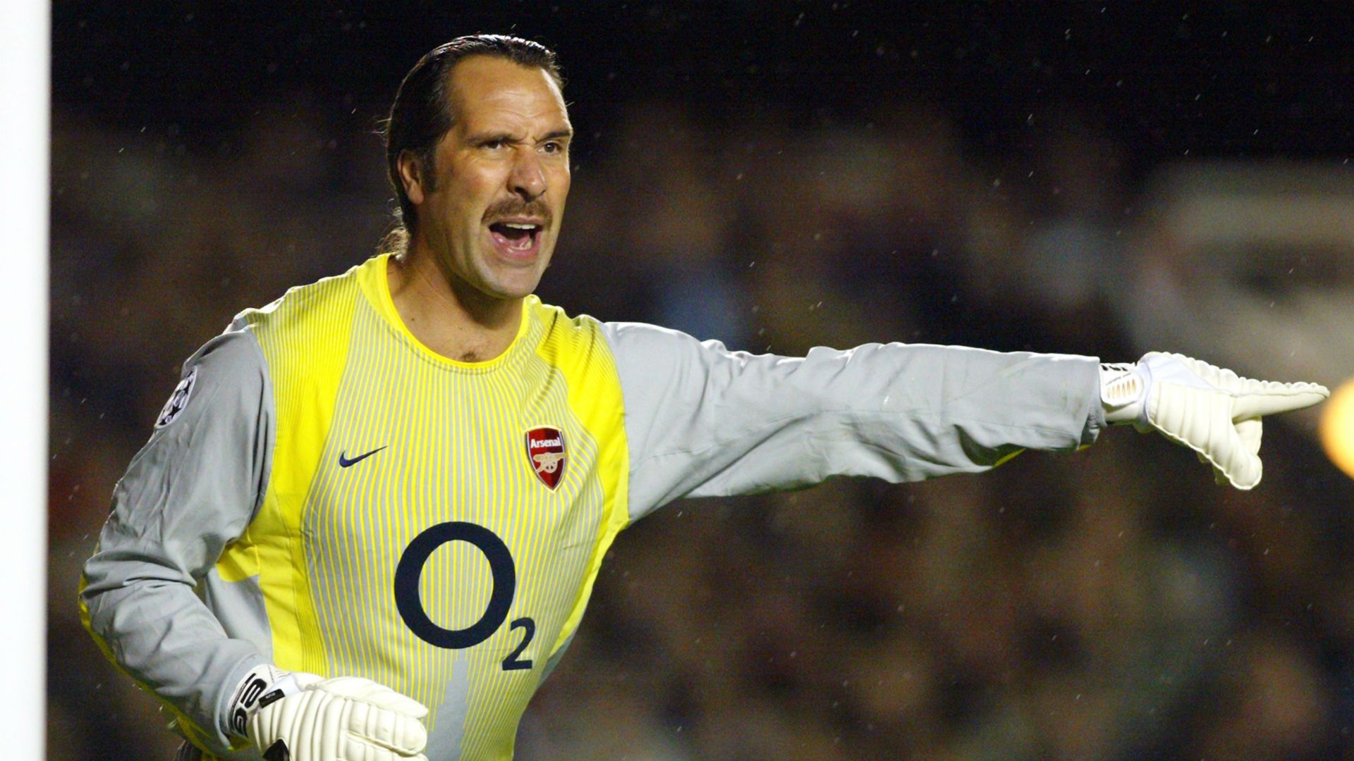 David Seaman.jpg