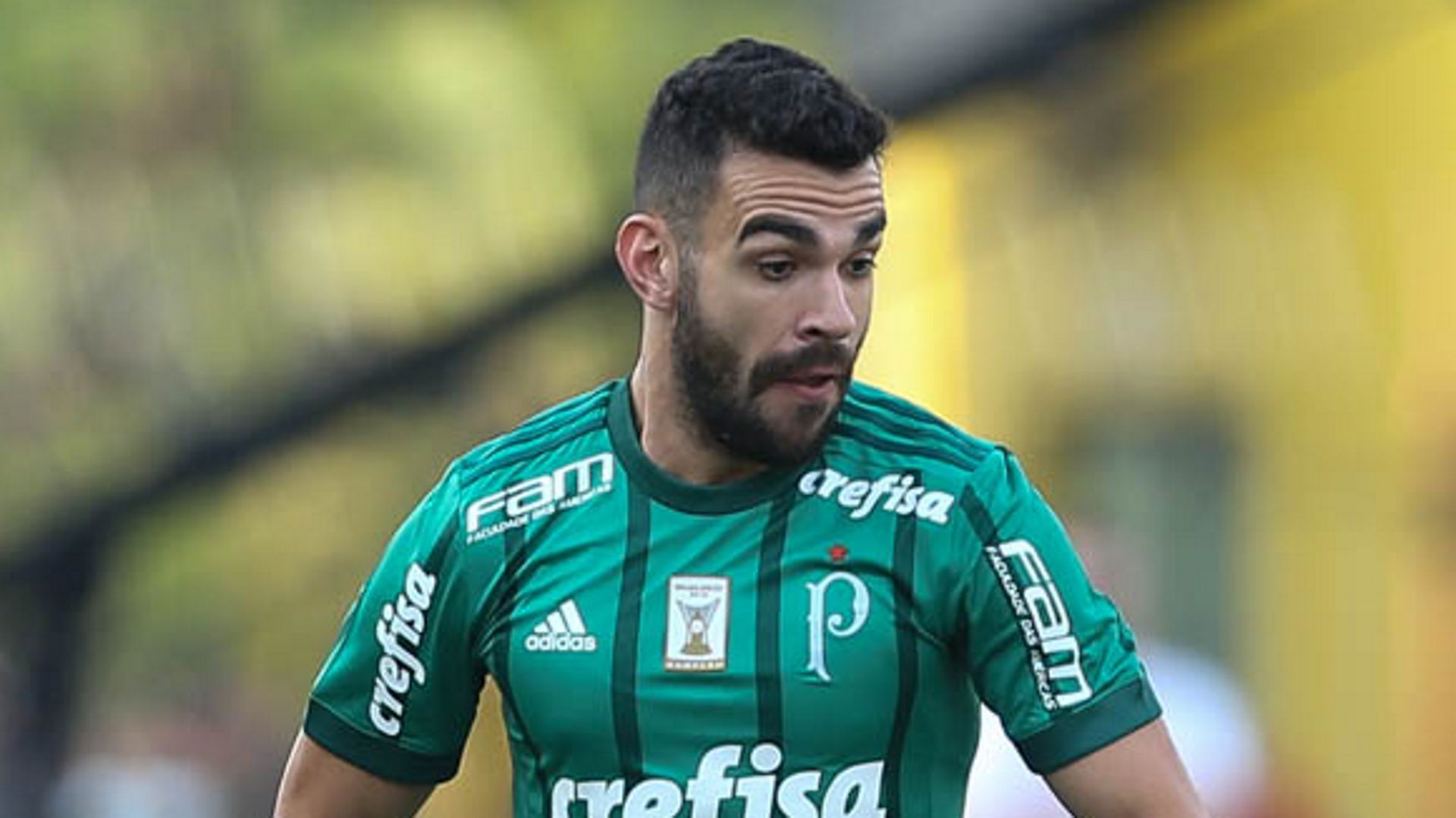 Bruno Henrique Vasco Palmeiras Brasileirao Serie A 13082017