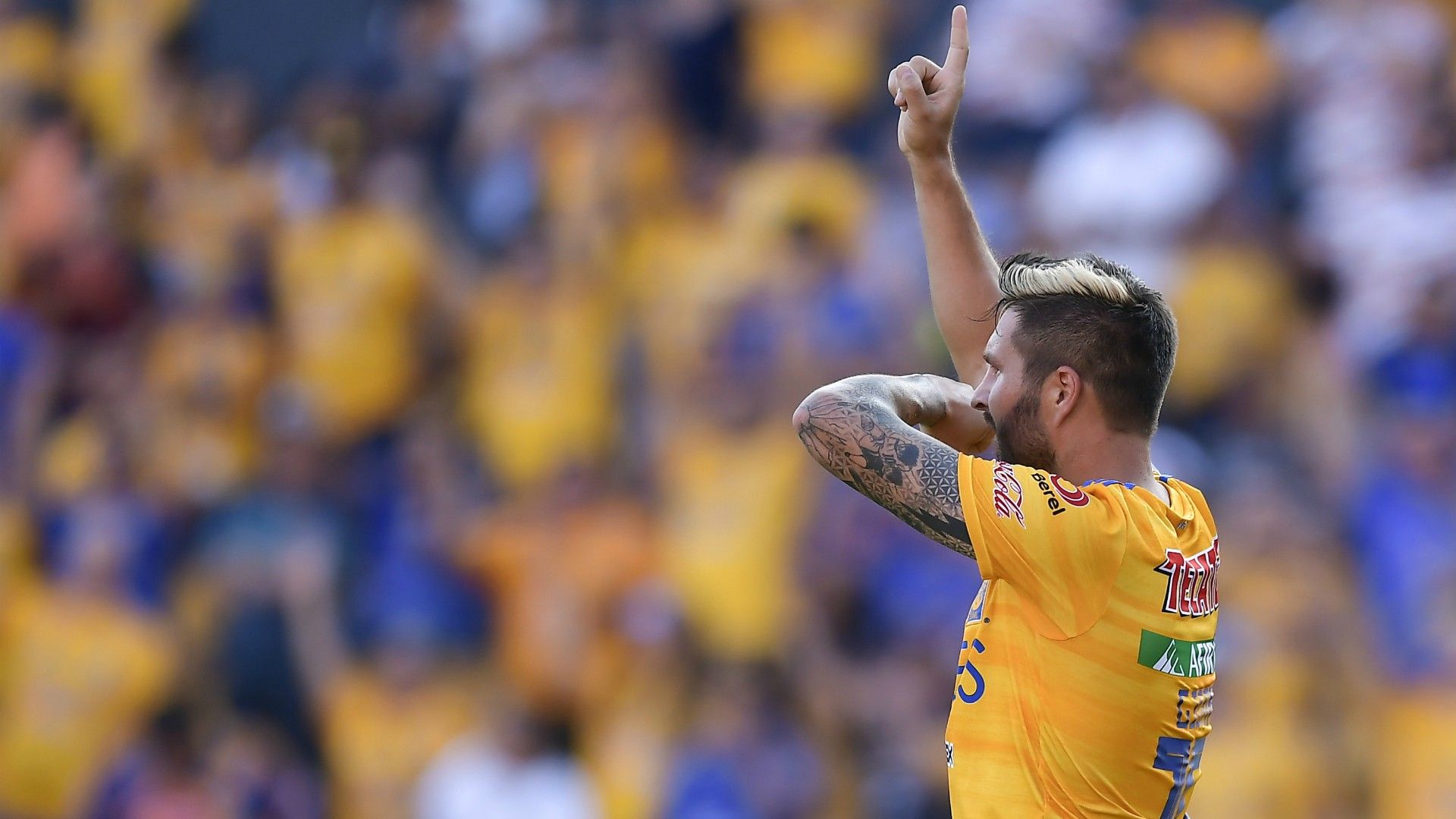 André-Pierre Gignac Tigres Apertura 2019