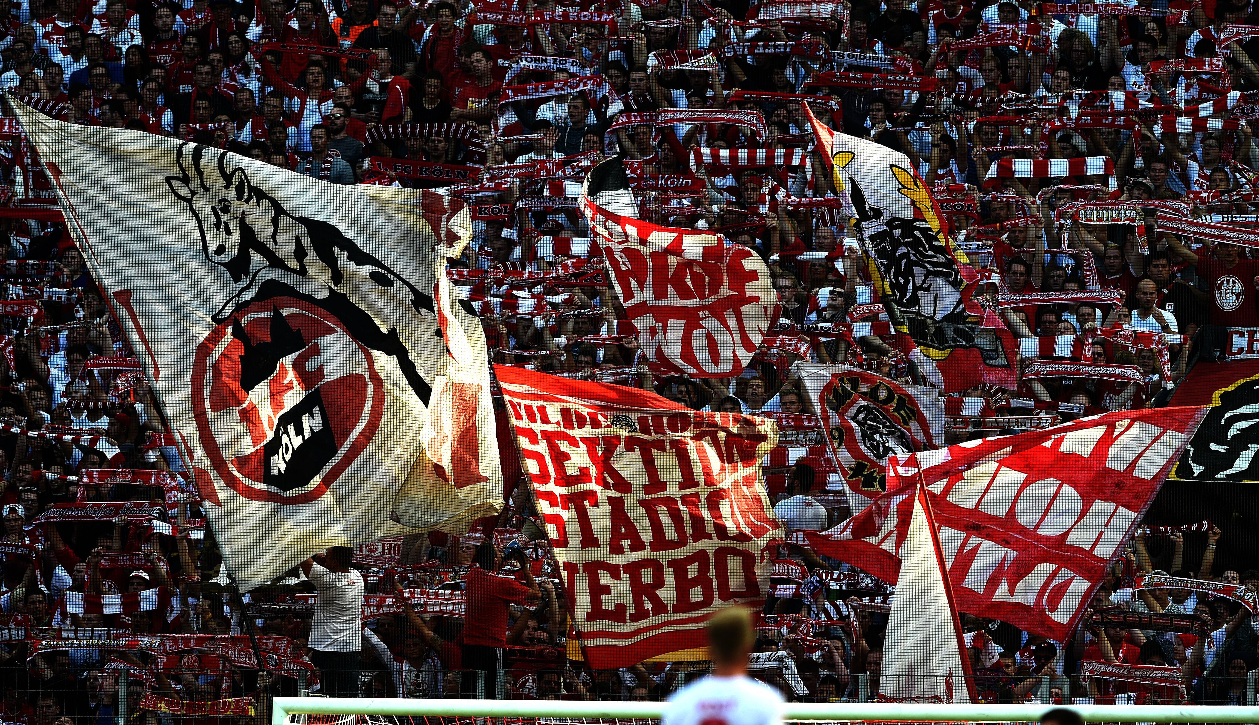 1. fc köln fans bundesliga 092714