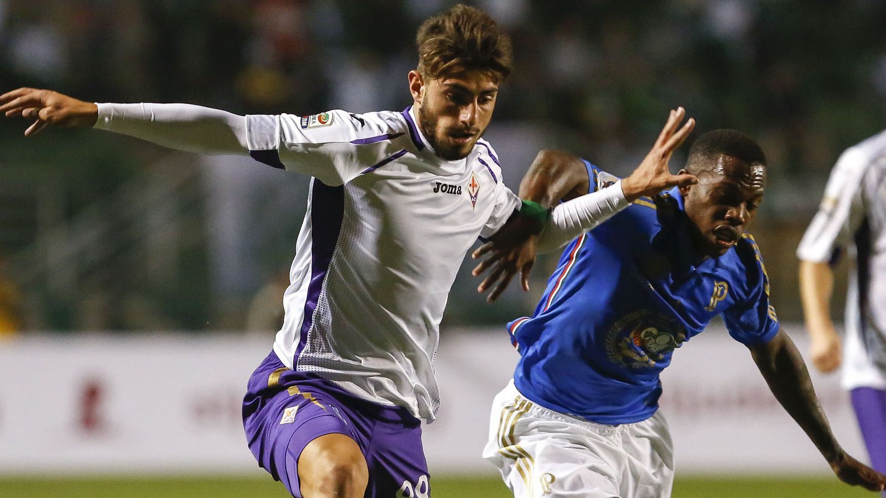 Piccini Fiorentina