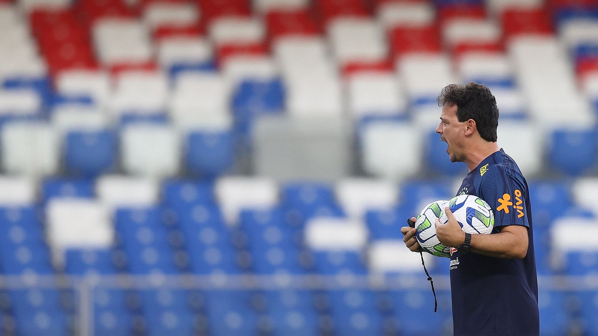 fernando diniz brasil seleção brasileira