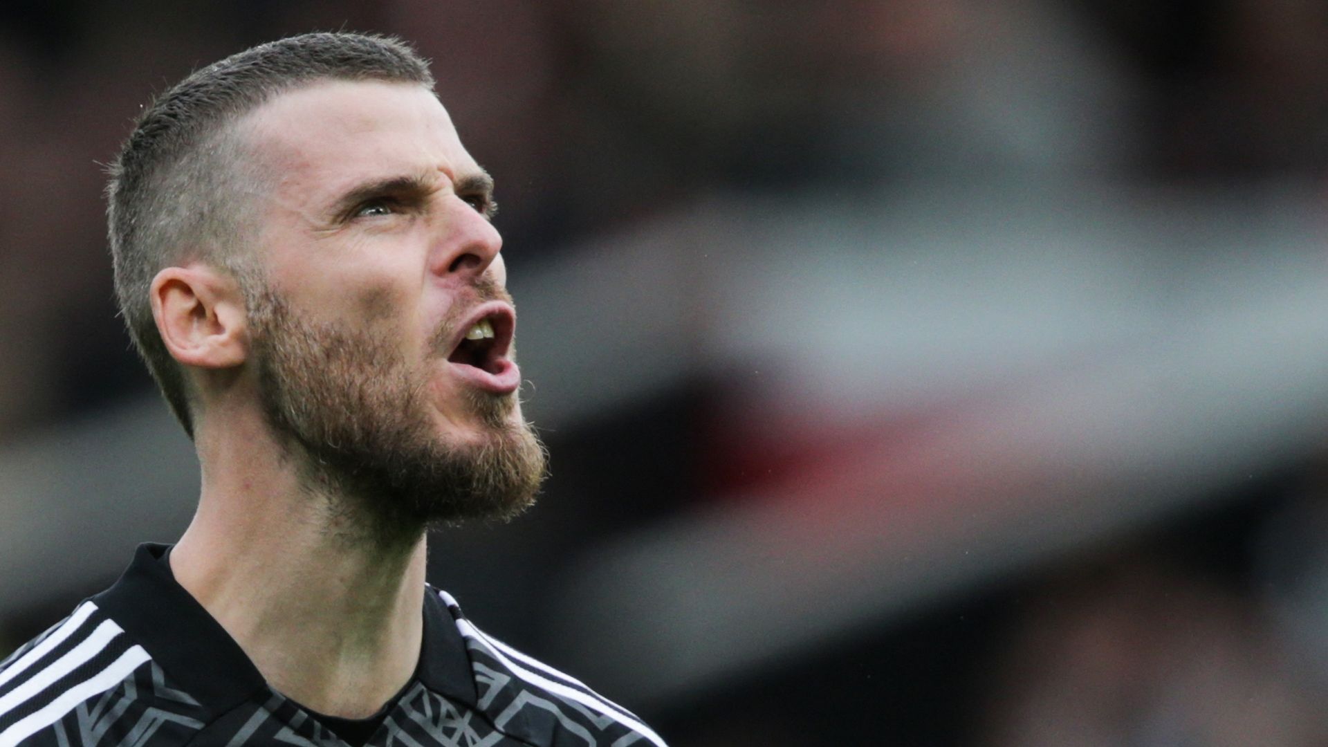David De Gea - Manchester United 2022/23
