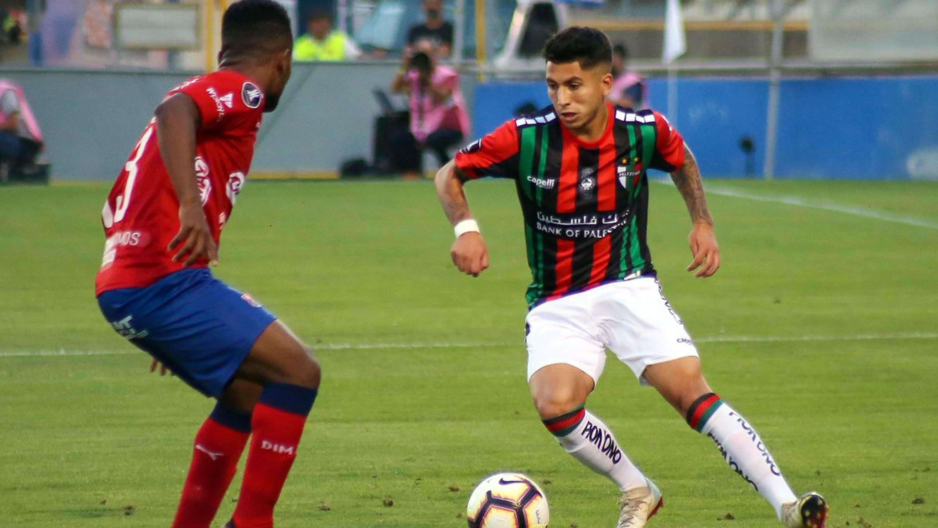 Palestino Independiente Medellin Copa Libertadores 2019