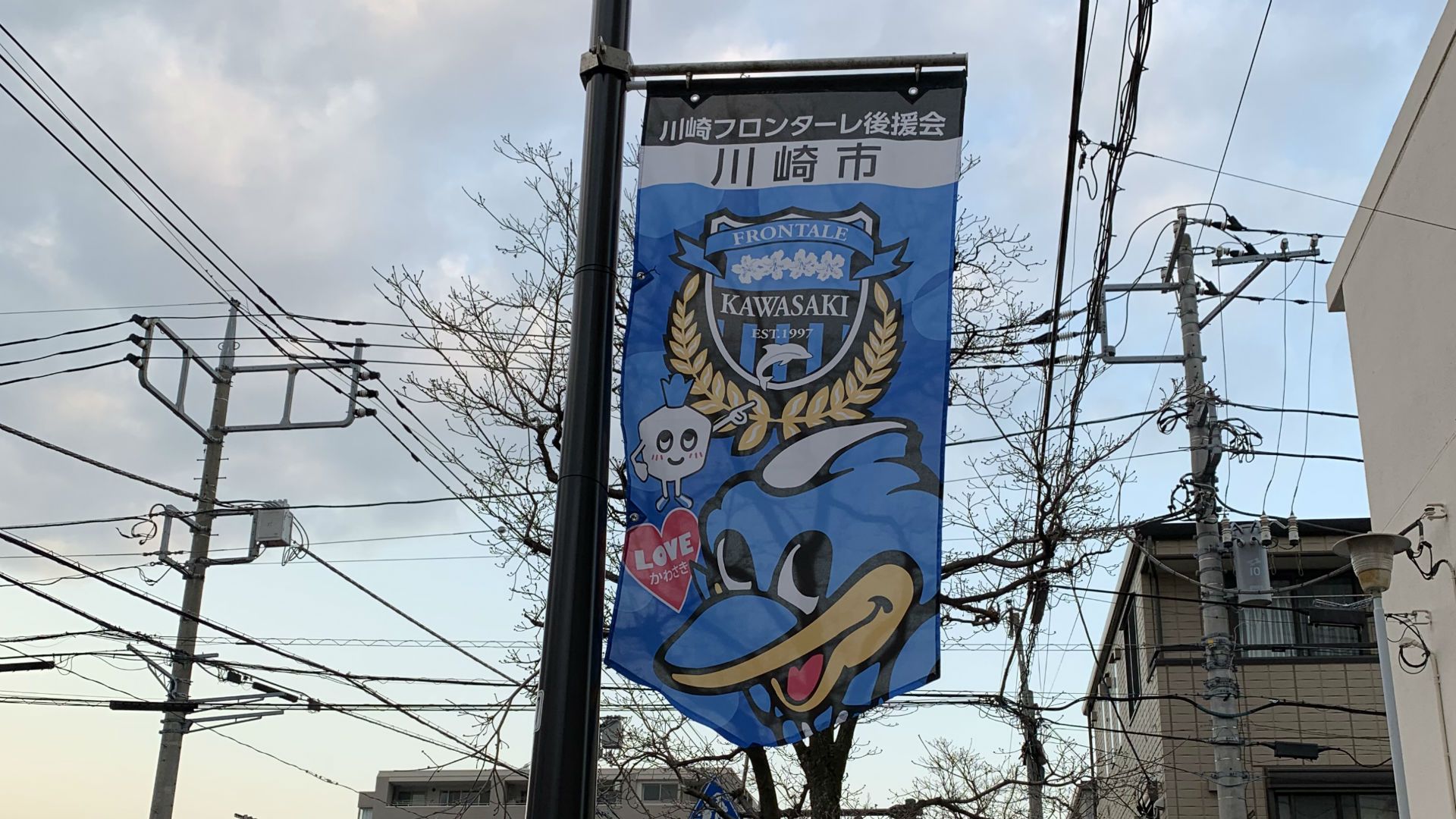 2019-03-03-harahiromi