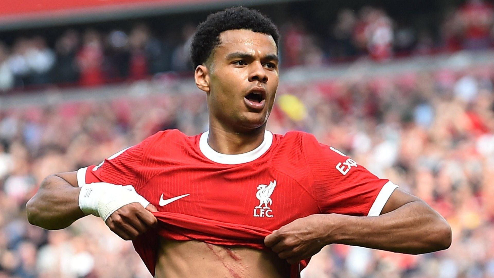 Cody Gakpo Liverpool 2022-23