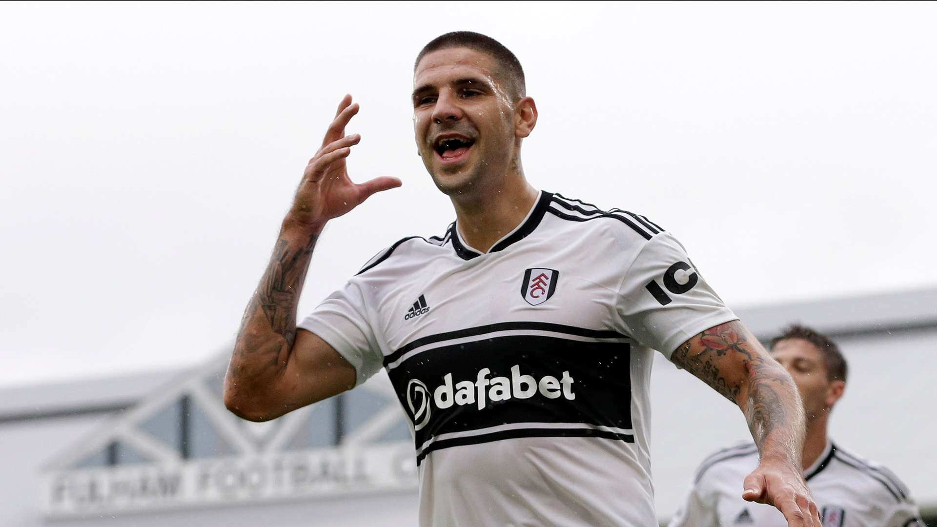 Aleksandar Mitrovic Fulham