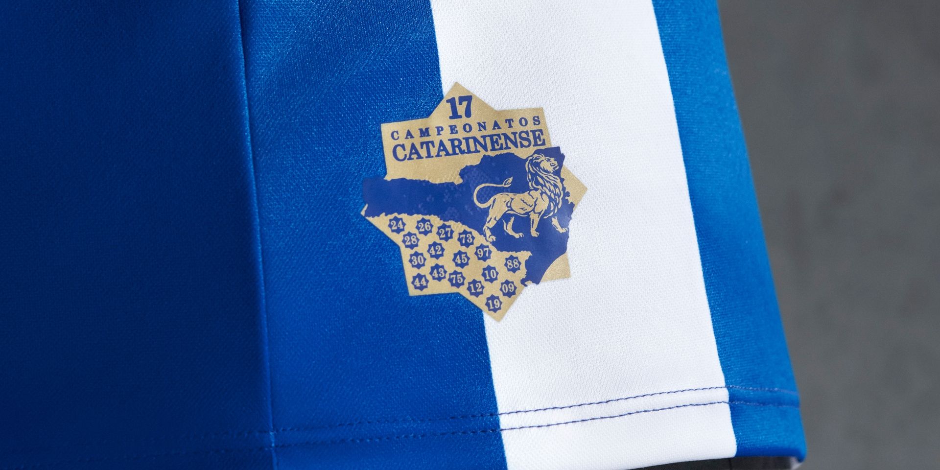 Camisa Avaí 2020 detalhe