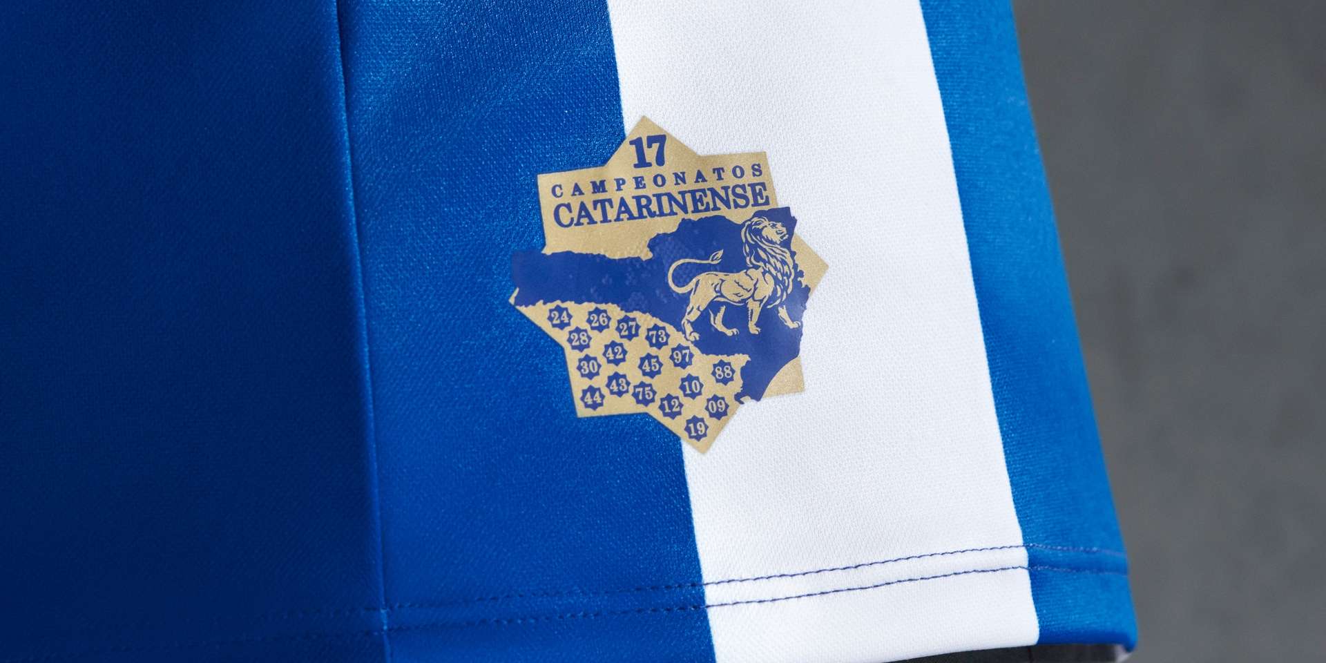 Camisa Avaí 2020 detalhe