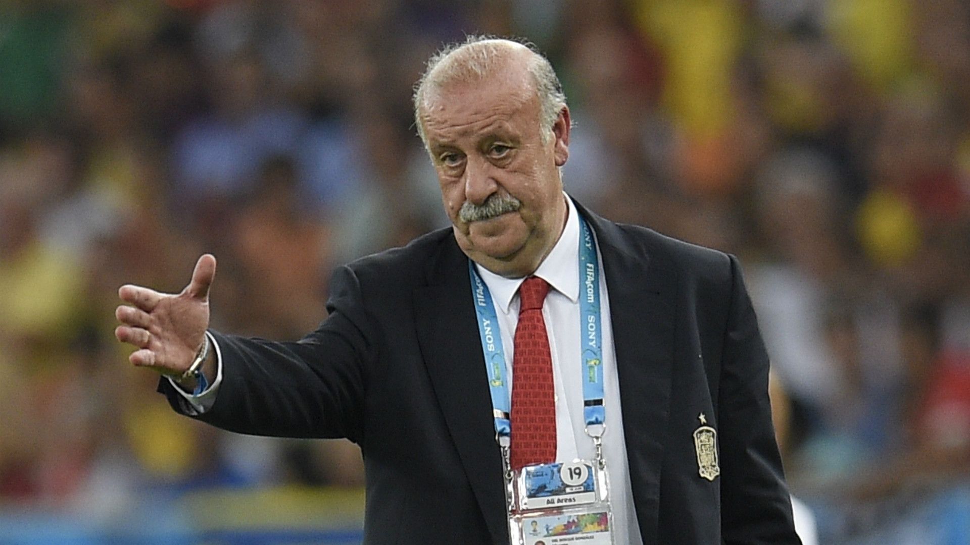 Vicente Del Bosque Spain Chile 2014 World Cup Group B 06182014