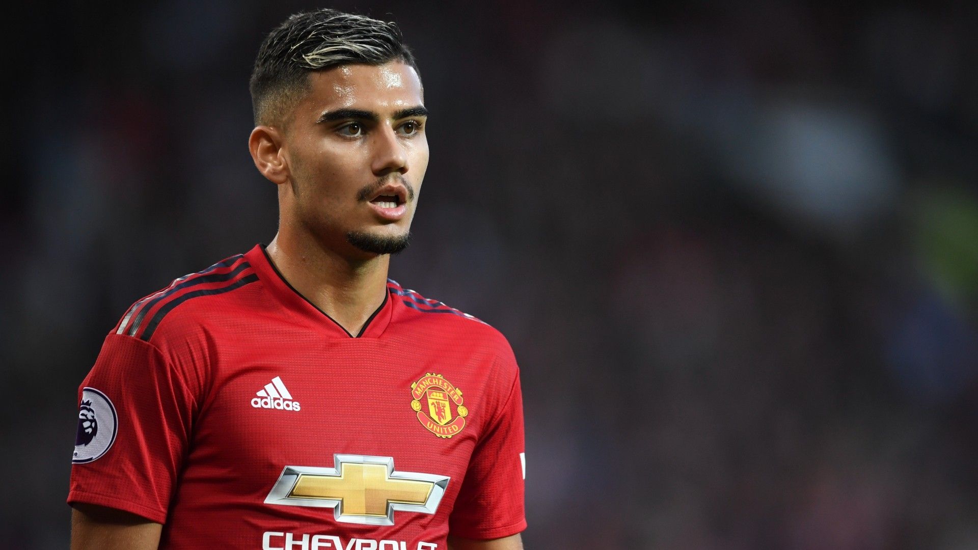 Andreas Pereira Manchester United 2018