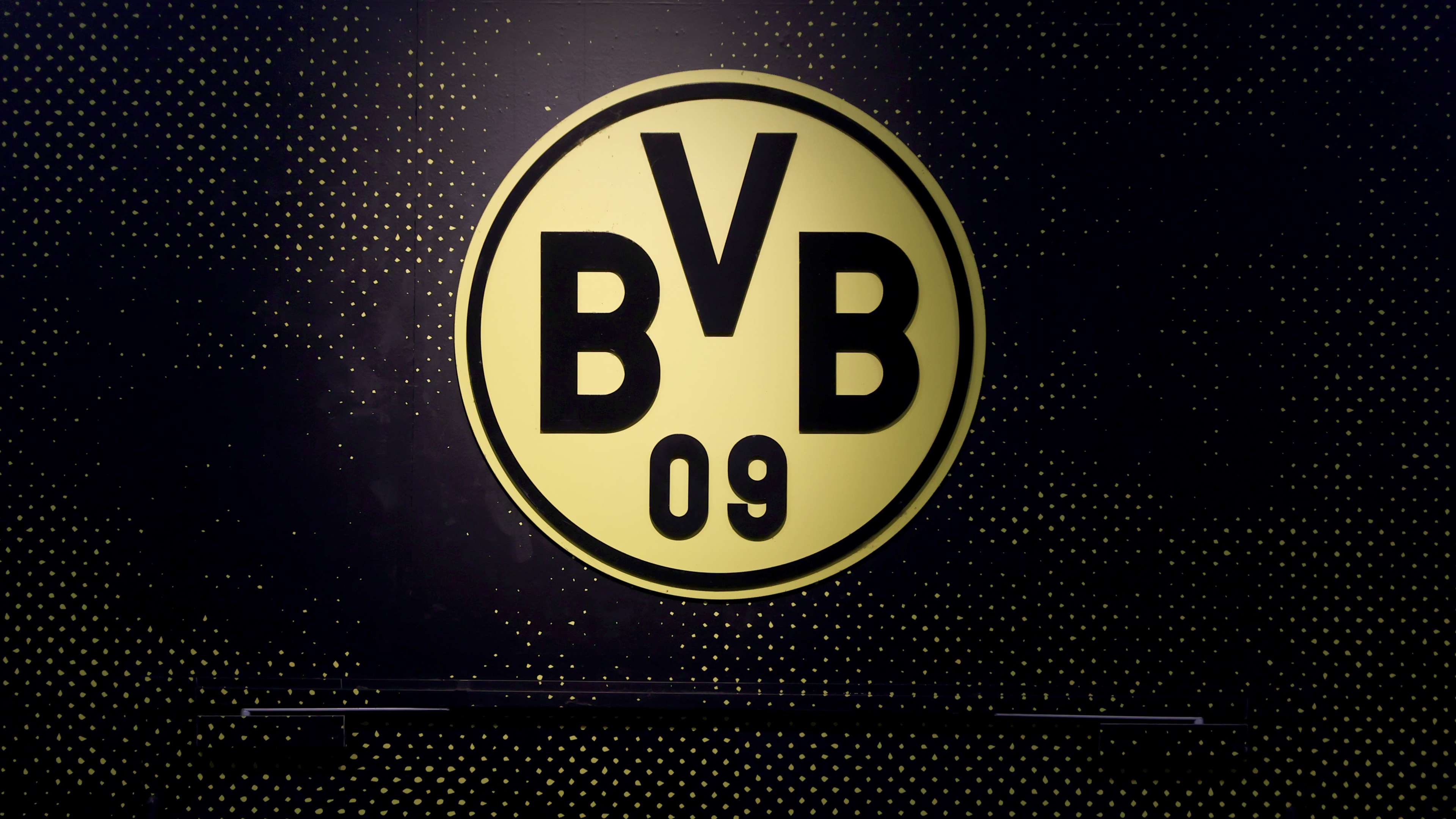 bvb-logo