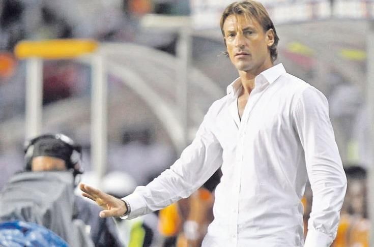 هيرفي رينارد