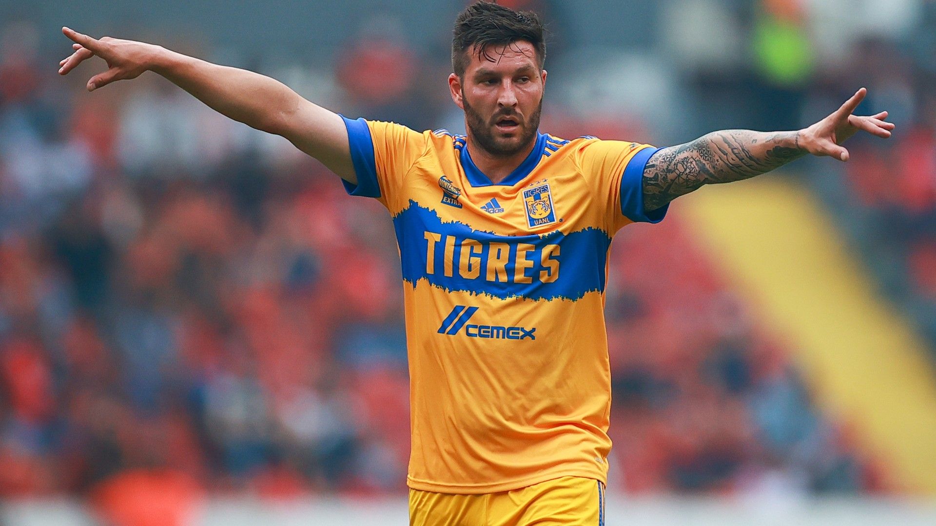 Gignac Tigres