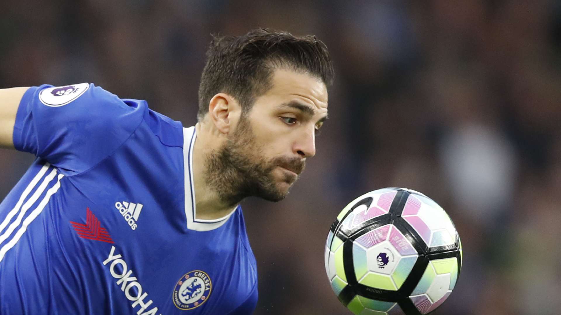 Cesc Fabregas