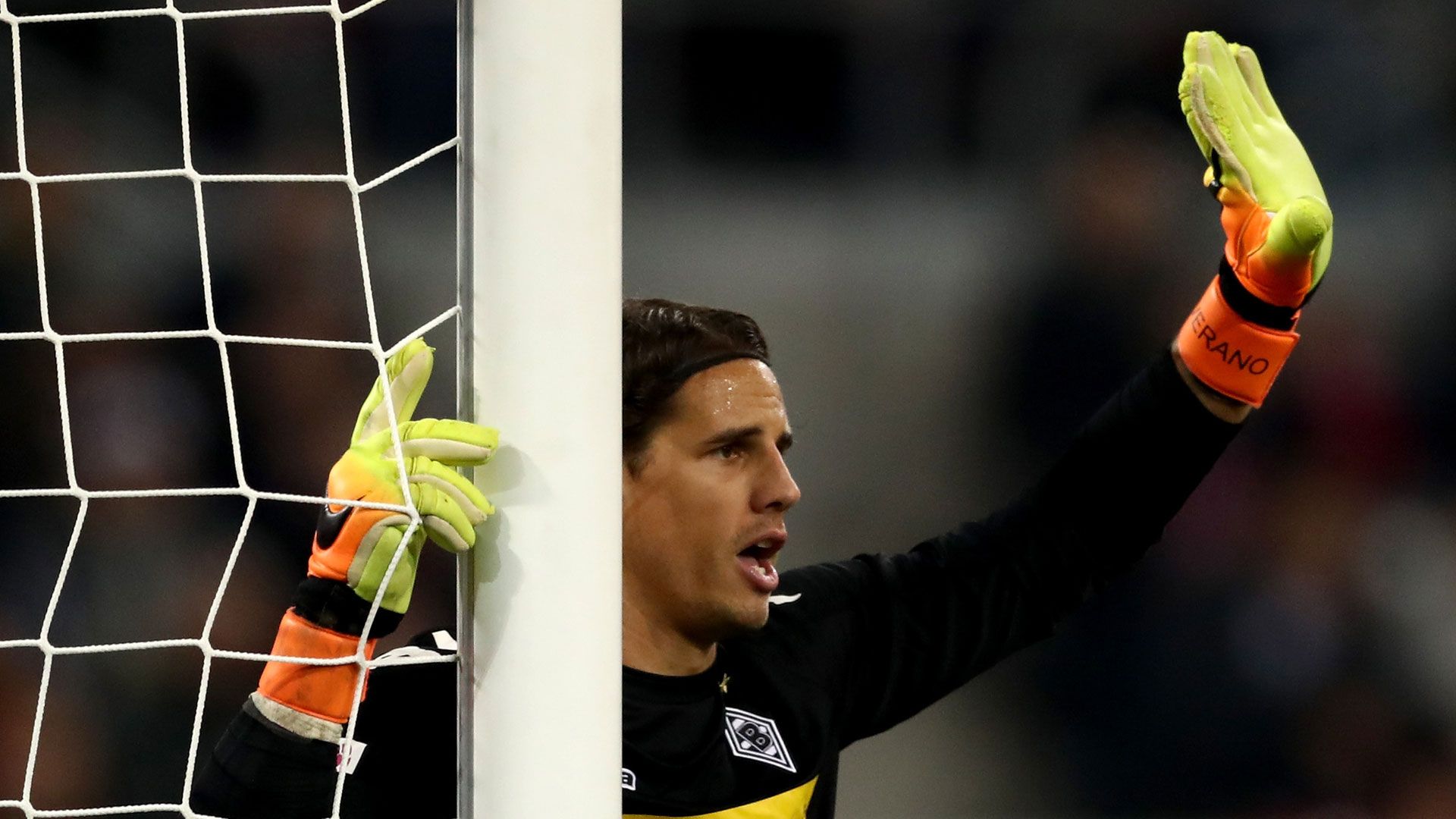 Yann Sommer 01142017