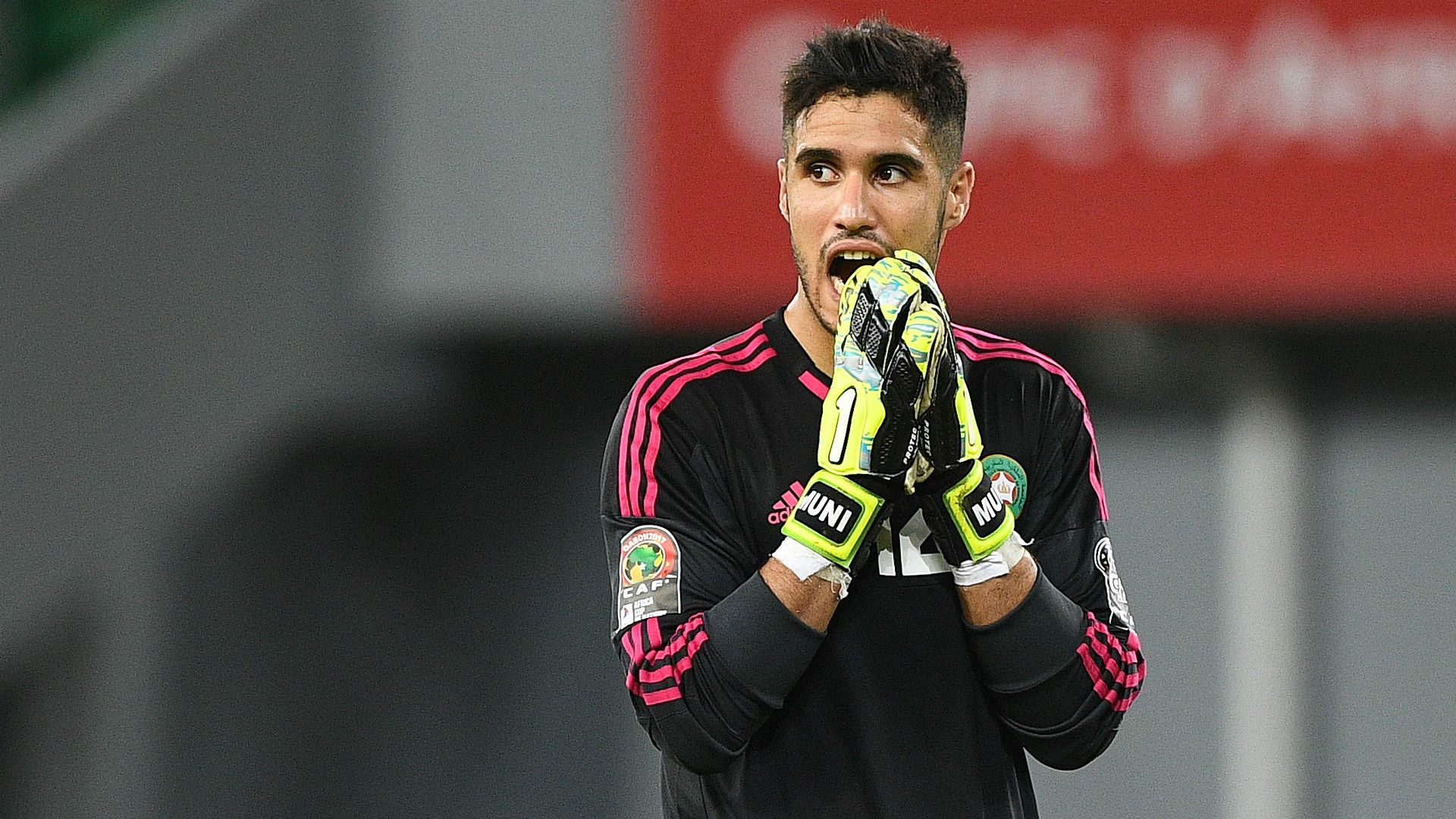 منير المحمدي