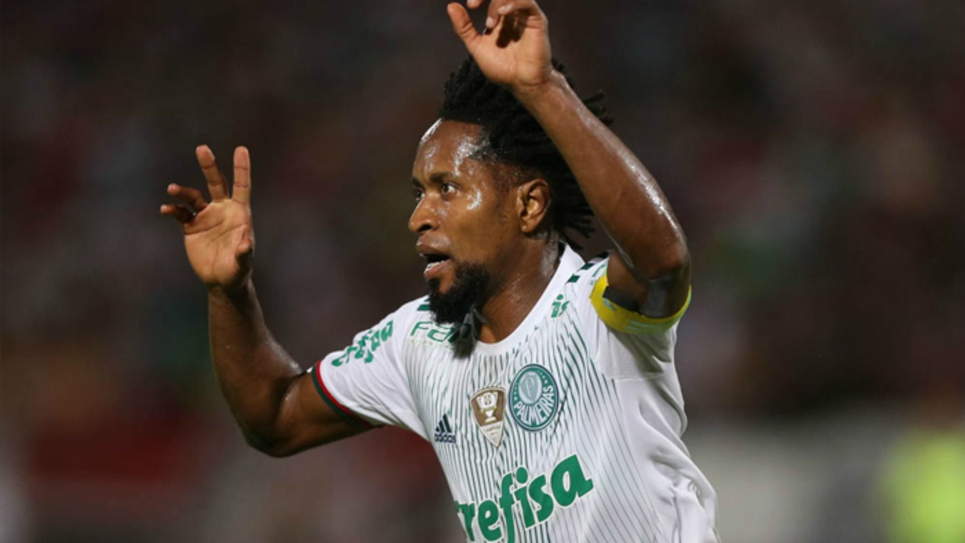Zé Roberto Palmeiras Santa Cruz 03 10 16