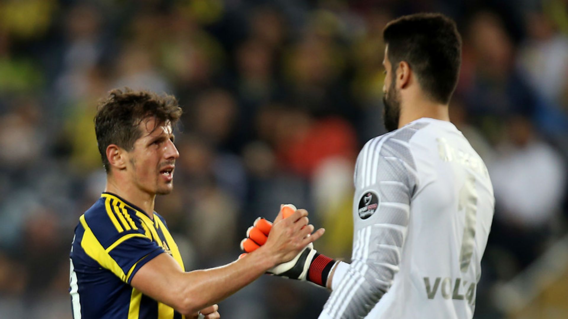Emre Belozoglu, Volkan Demirel Fenerbahce 2014