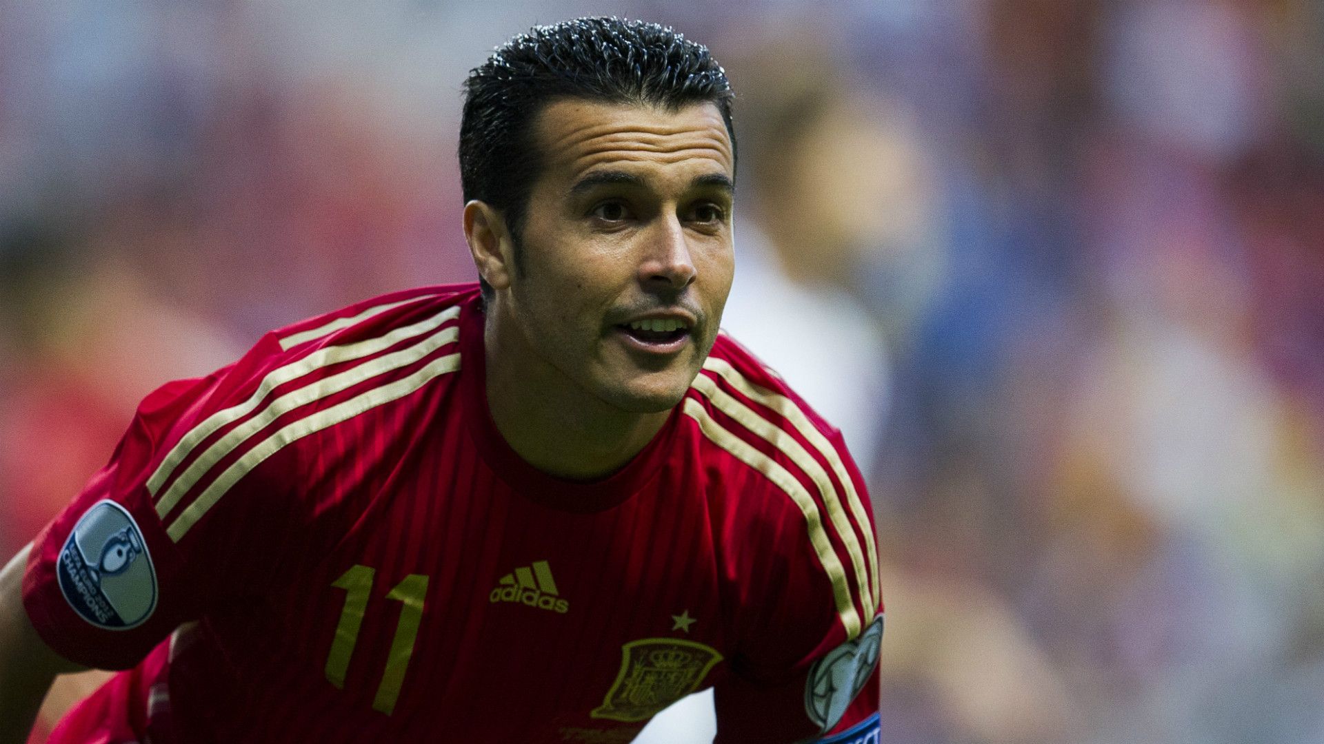 Pedro Spain Slovakia Euro Qualifier
