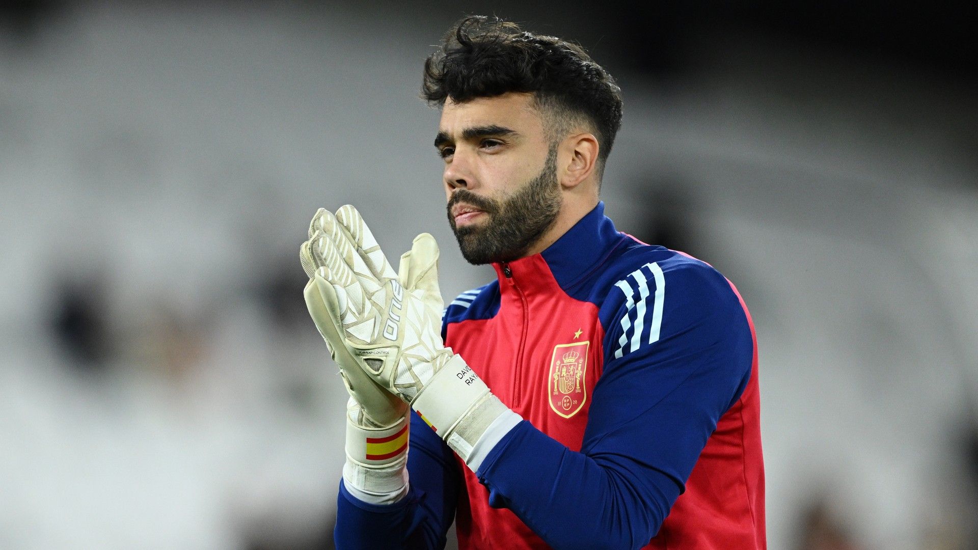 David Raya-spain-20240322