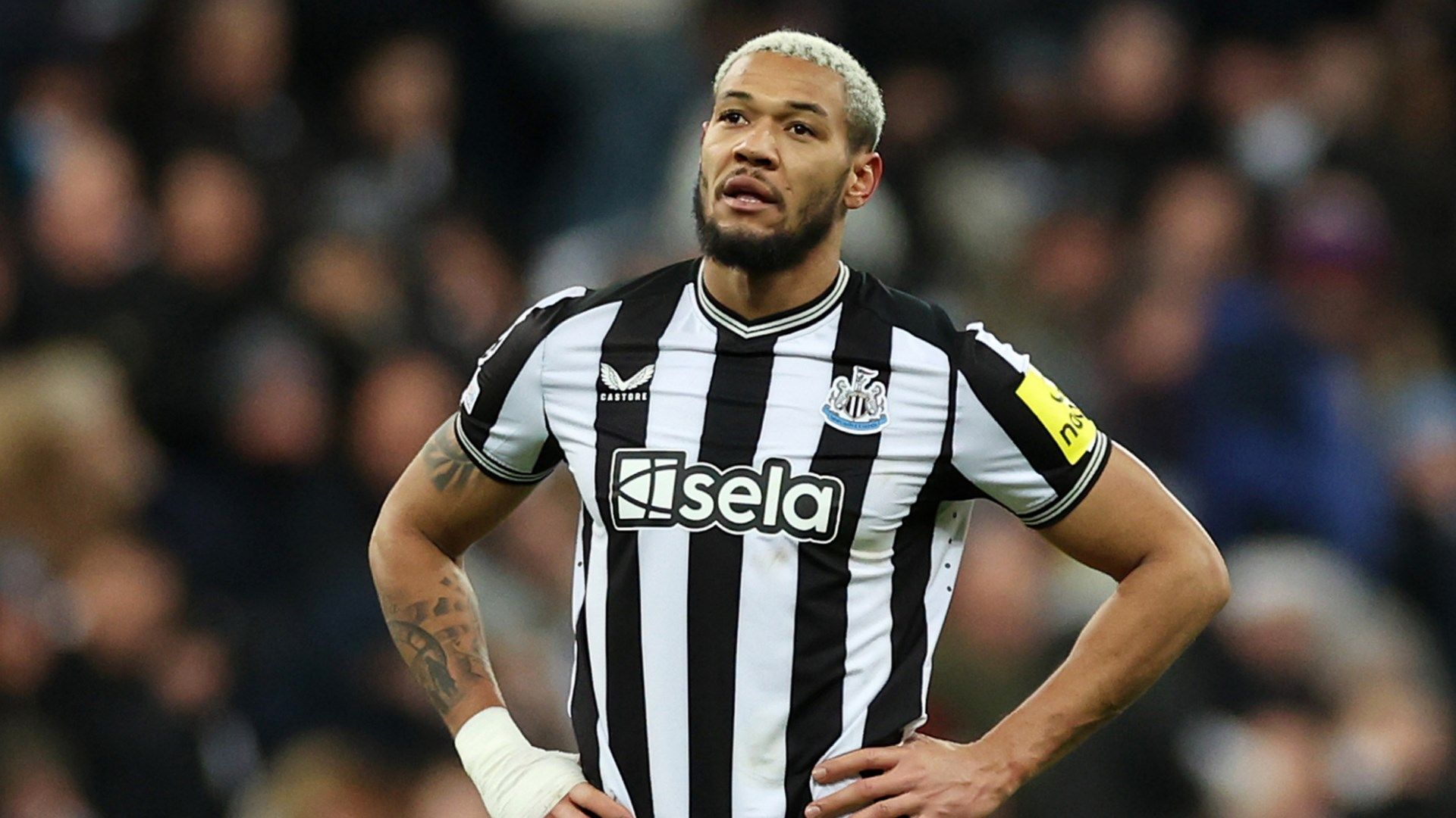 Joelinton Newcastle United AC Milan 2023-24 Champions League