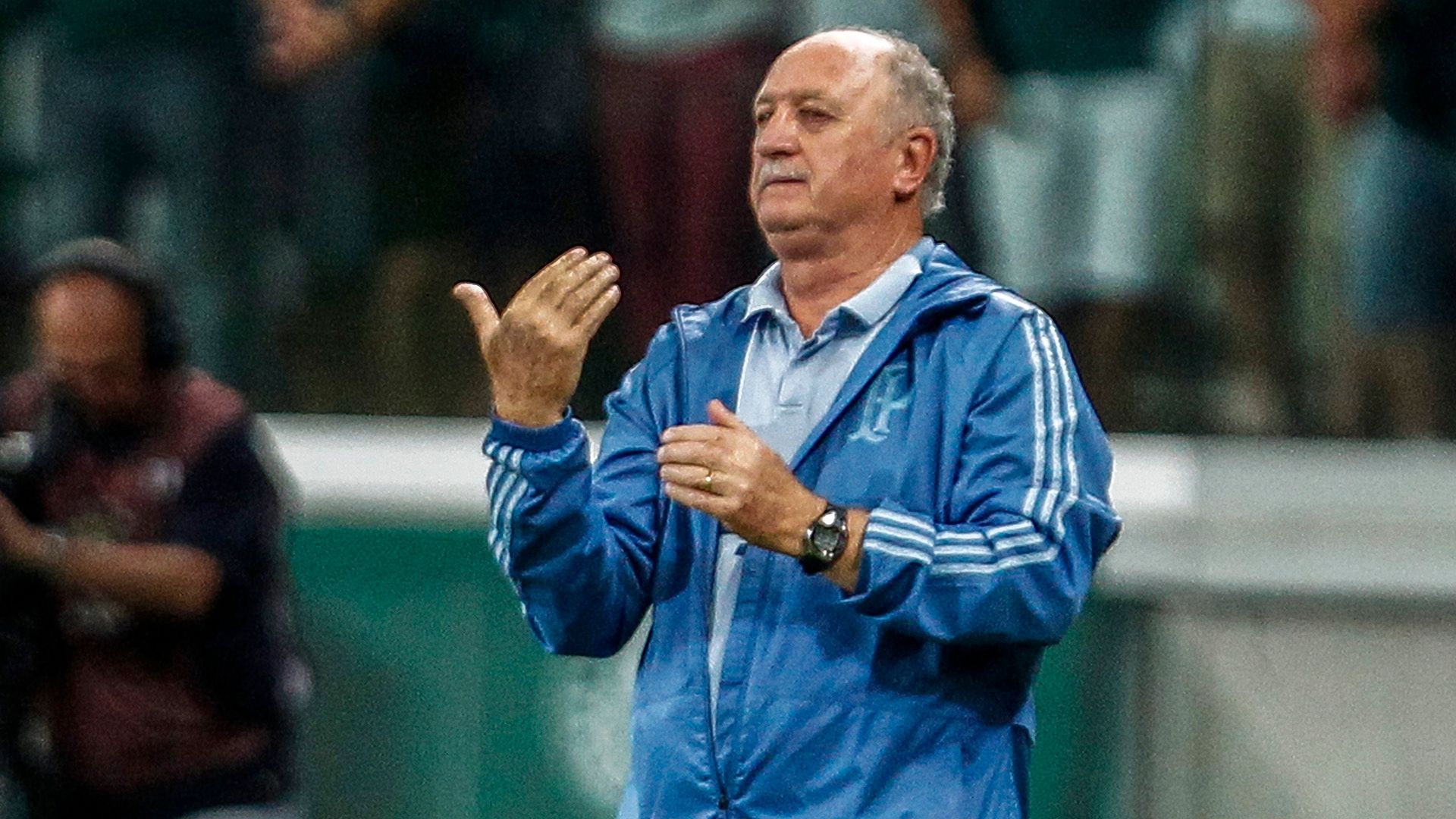Felipão Scolari Palmeiras Fluminense Brasileirão Série A 14112018