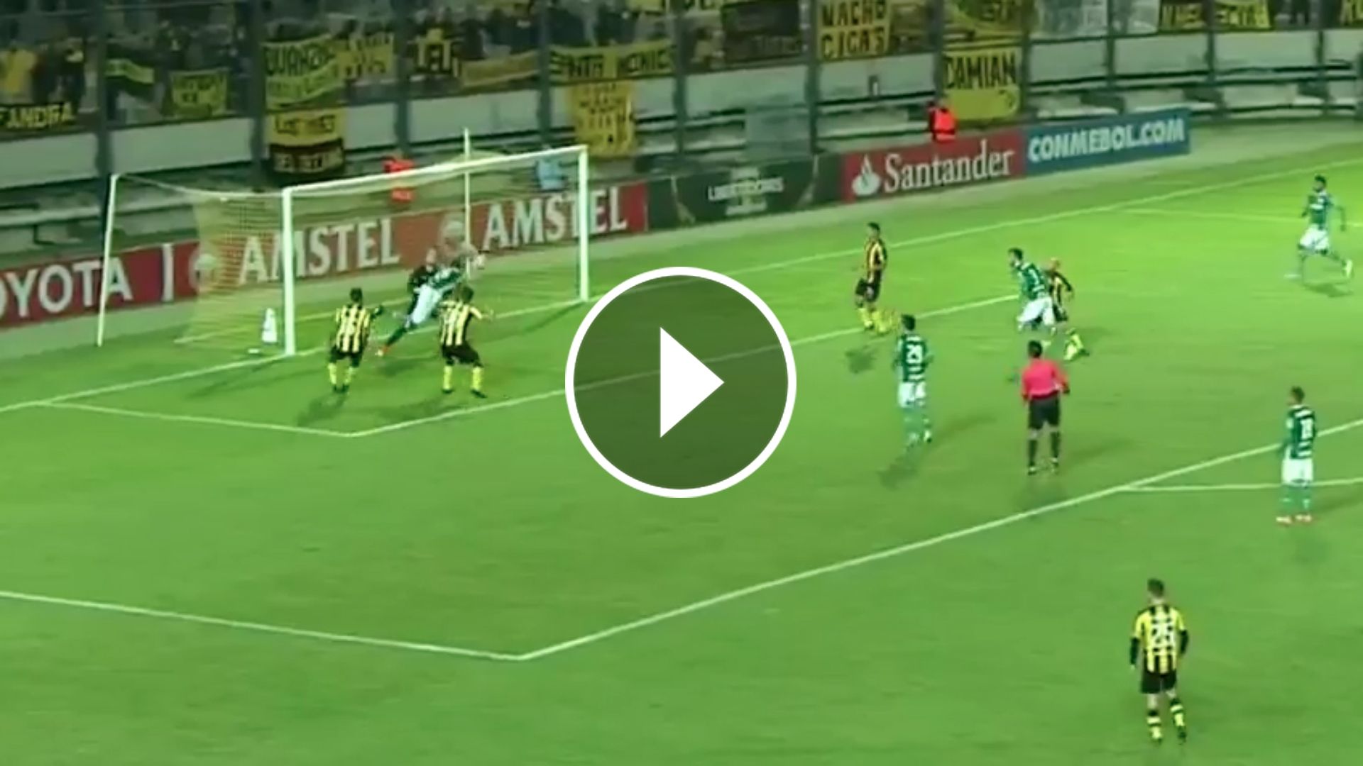 Yerry Mina gol