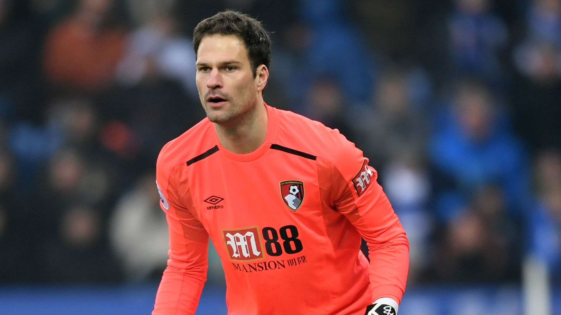 Asmir Begovic Bournemouth Premier League Team of the Week