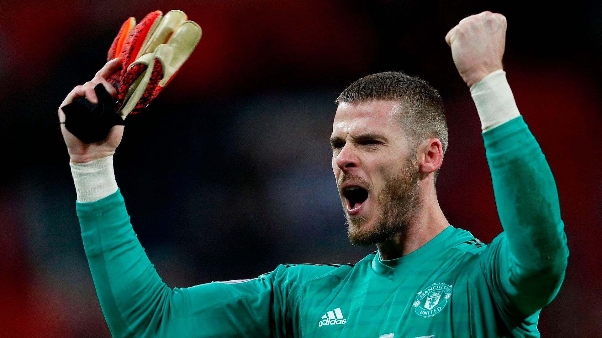 David de Gea vs. Tottenham Hotspur
