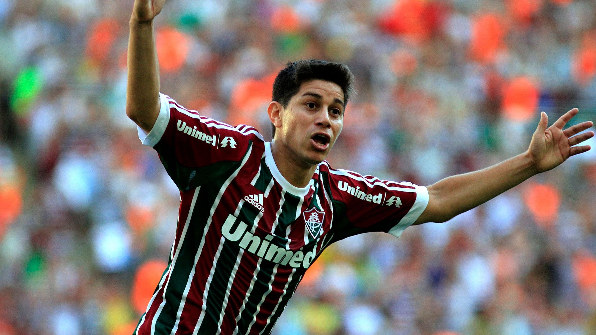 Darío Conca Fluminense Cruzeiro Brasileirao 09072014