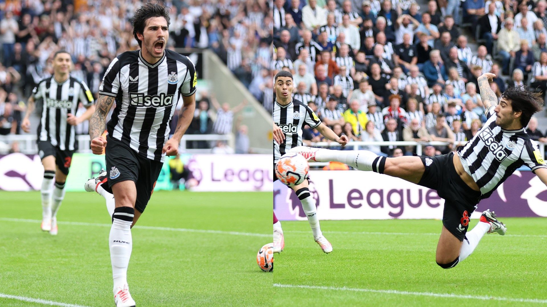 Tonali gol Newcastle