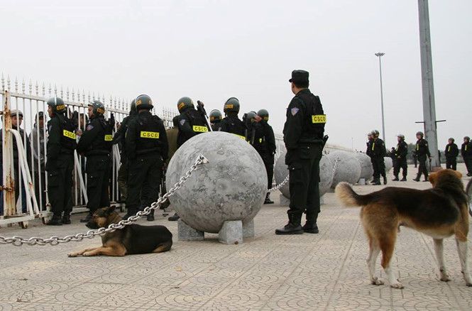 Quả cầu đá Mỹ Đình