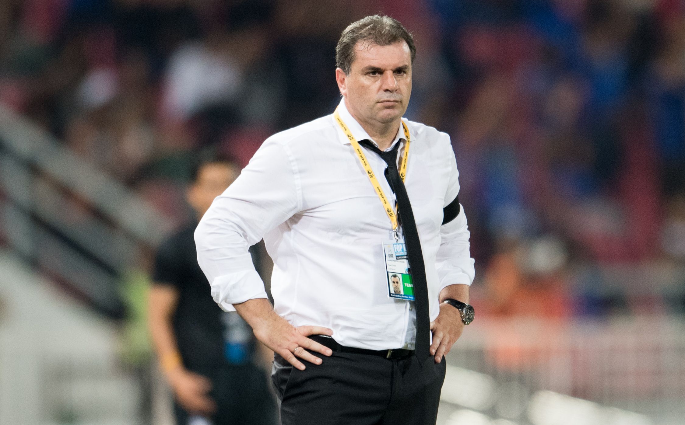 Ange Postecoglou - Australia 2016