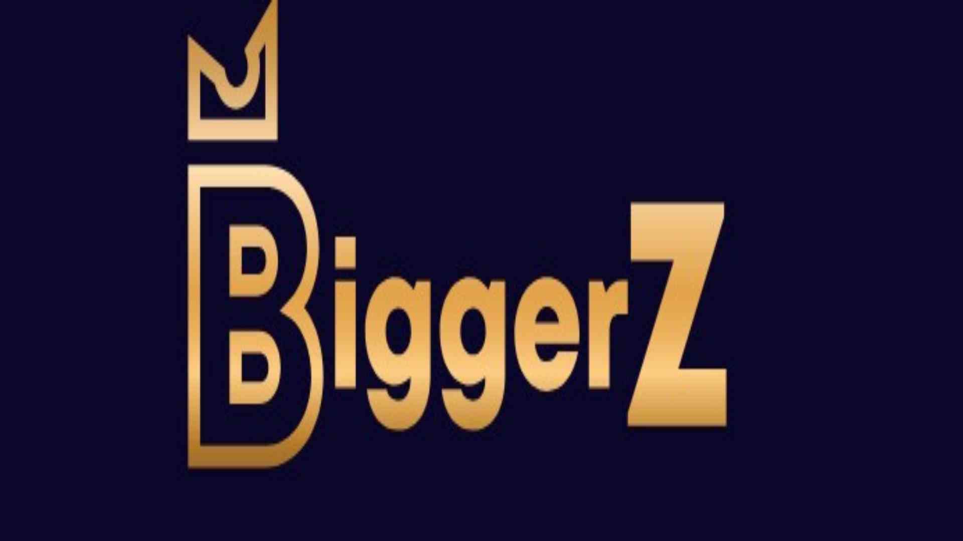 BiggerZ India