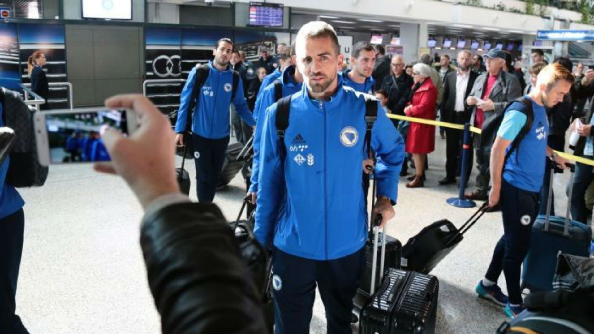 Vedad Ibisevic Bosnia