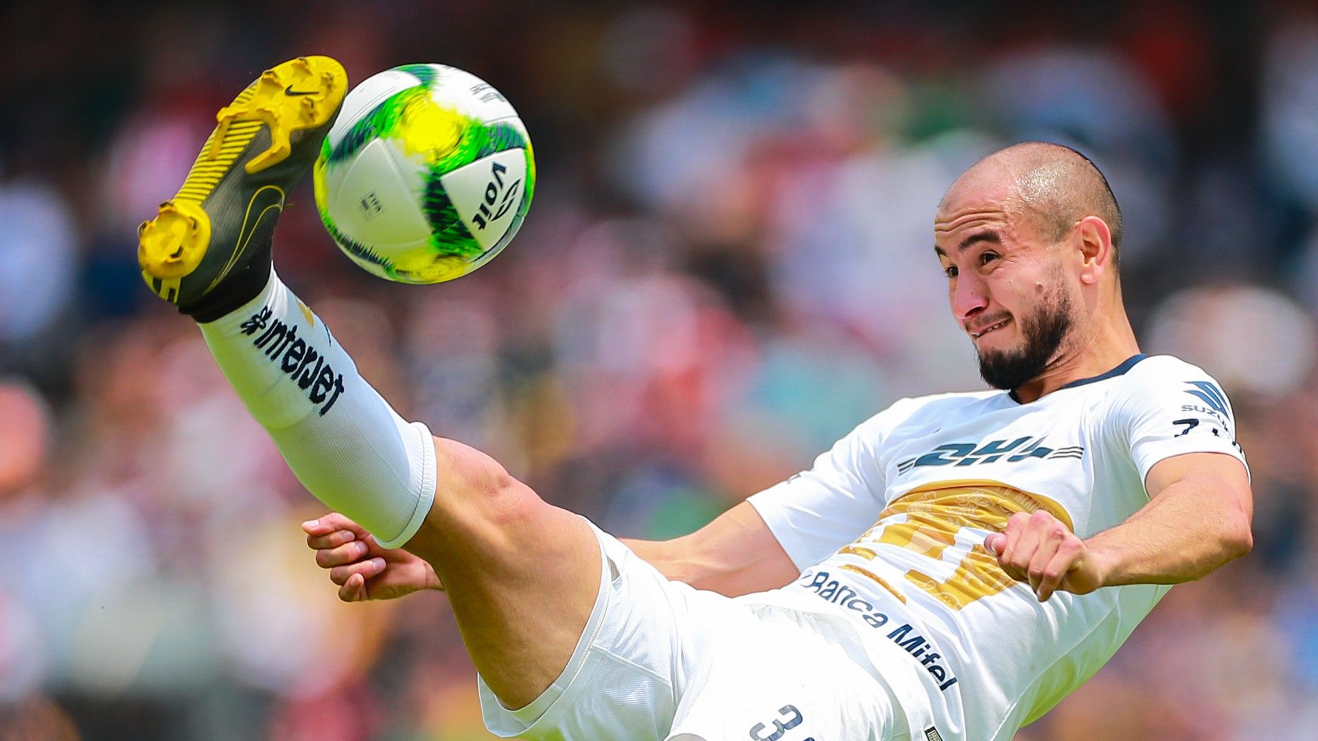 Carlos González Pumas