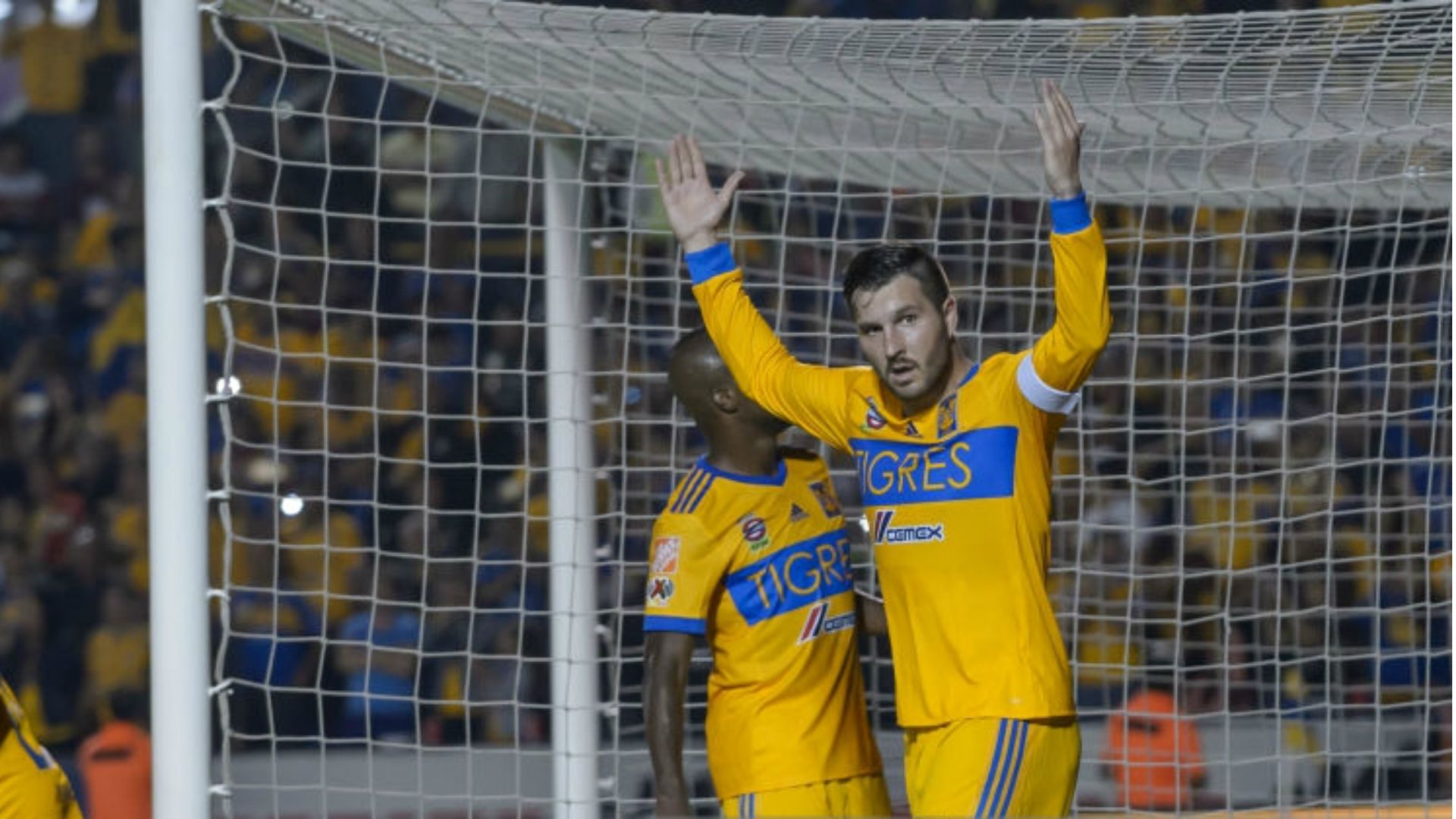 Tigres Gignac