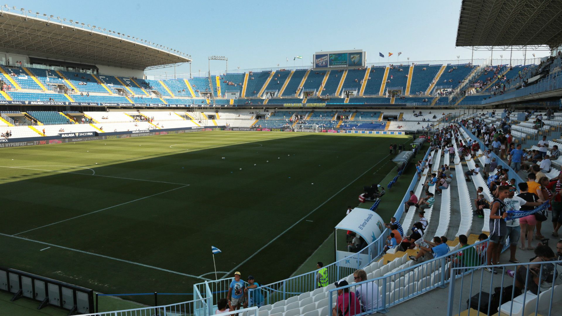 La Rosaleda general view