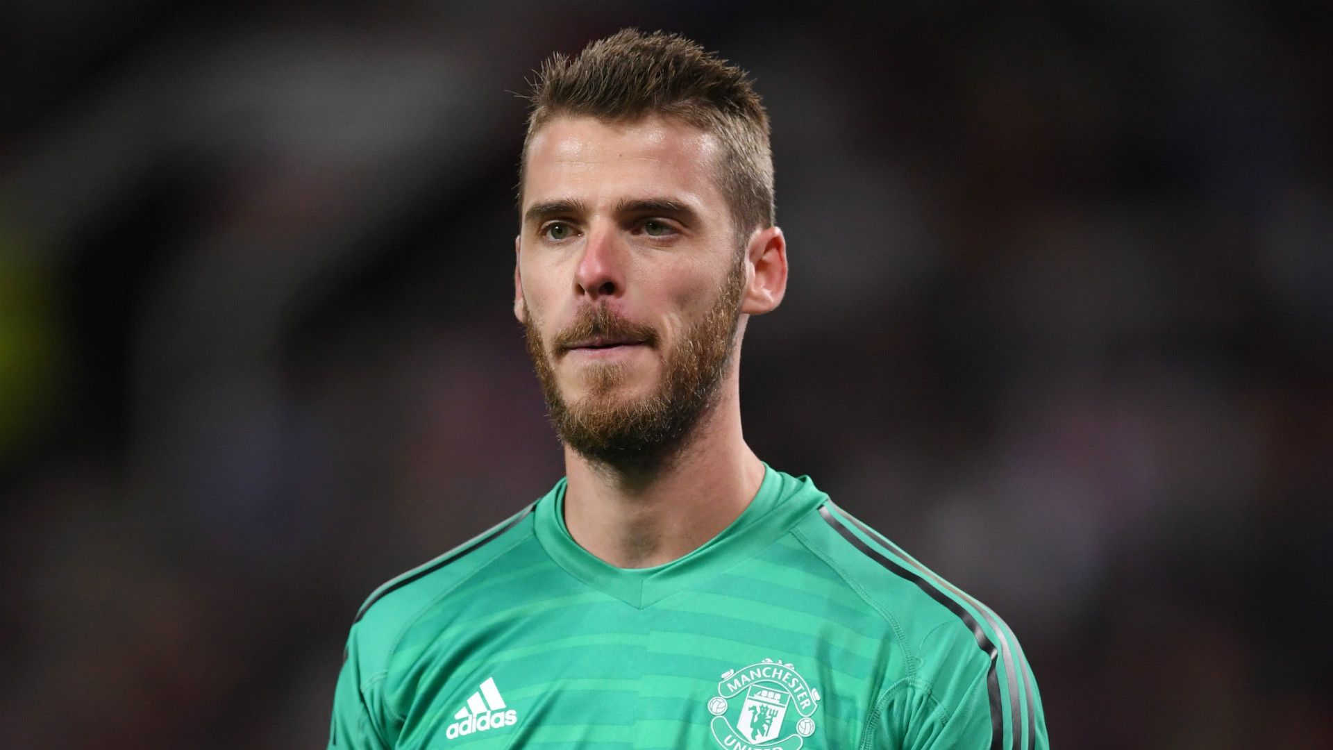 David de Gea Manchester United 2018-19