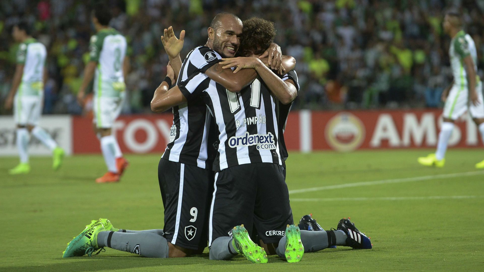 Roger Camilo Botafogo Atlético Nacional Libertadores 14 04 2017