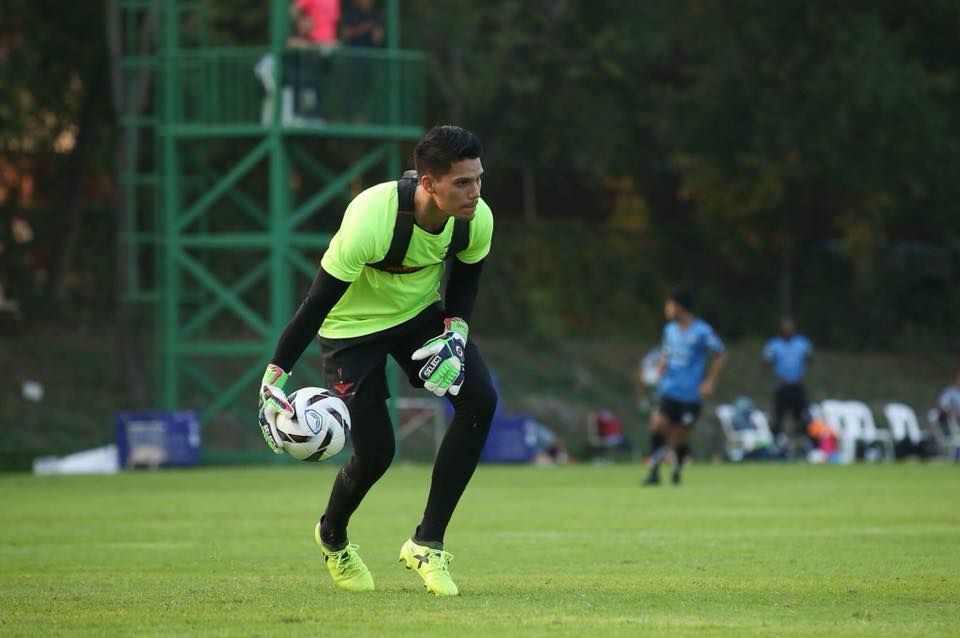 ไมเคิล ฟาลเคสการ์ด