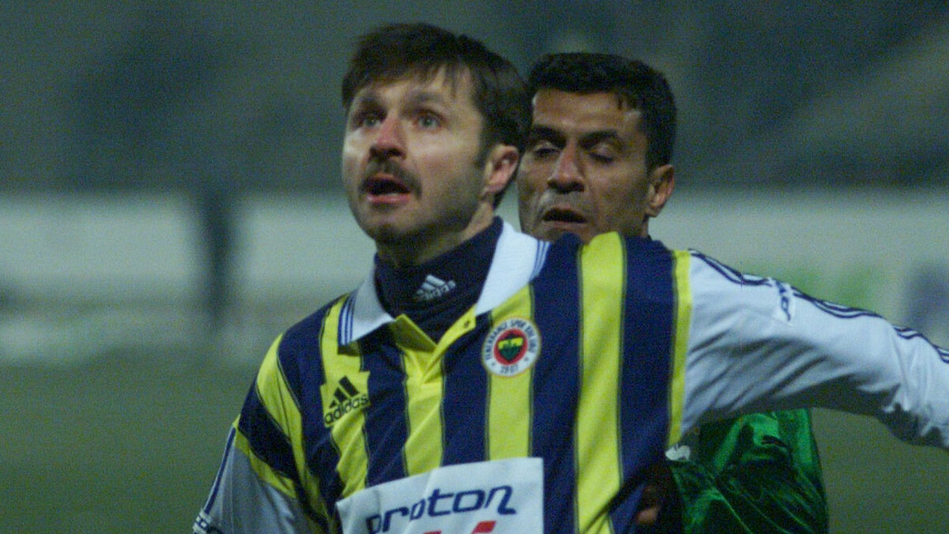Elvir Bolic, Fenerbahce