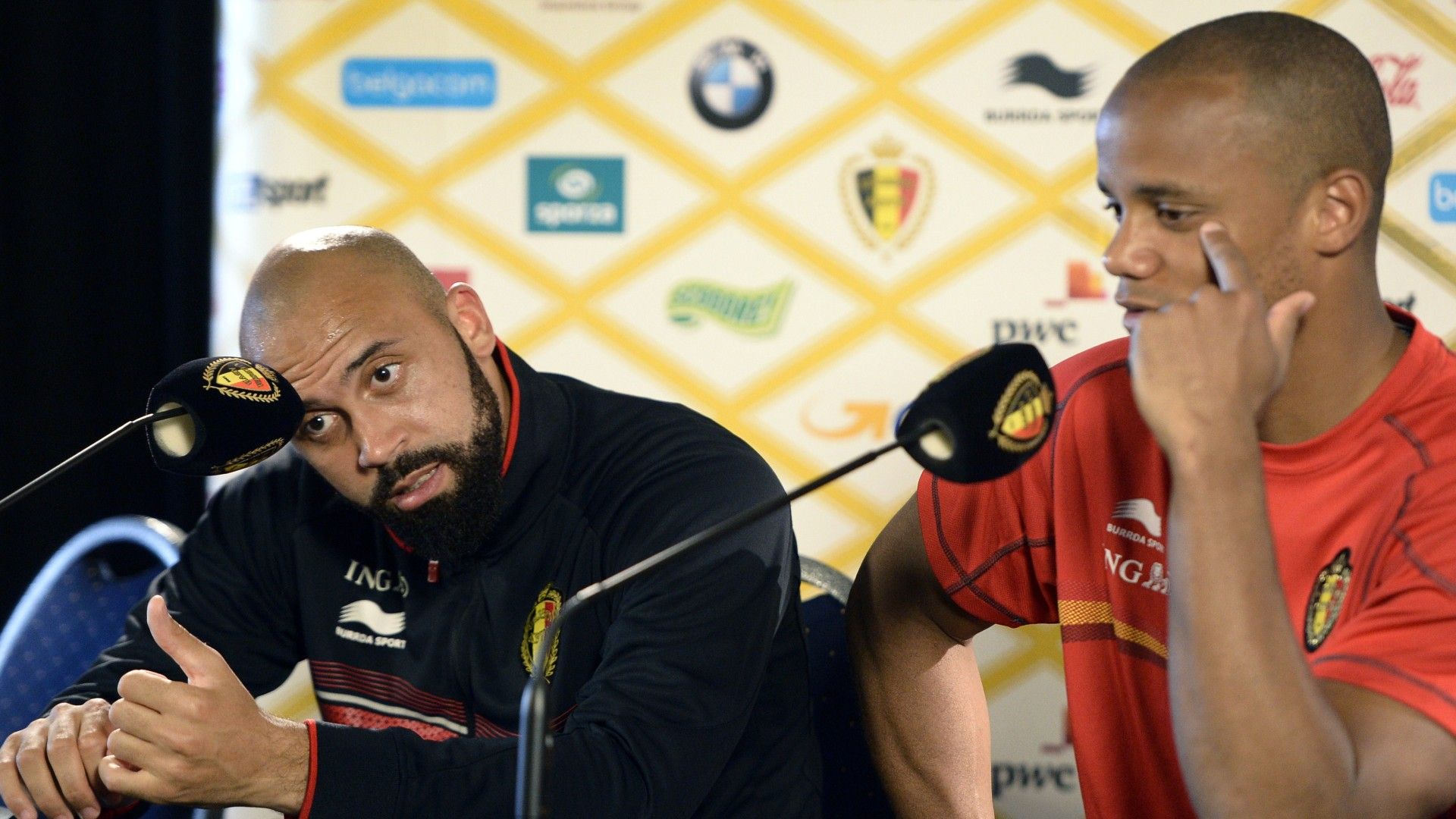 Anthony Vanden Borre Vincent Kompany Belgium 2014