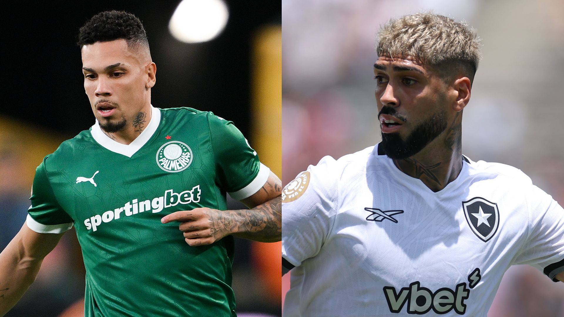 Palmeiras vs Botafogo - FIFA CWC 2025