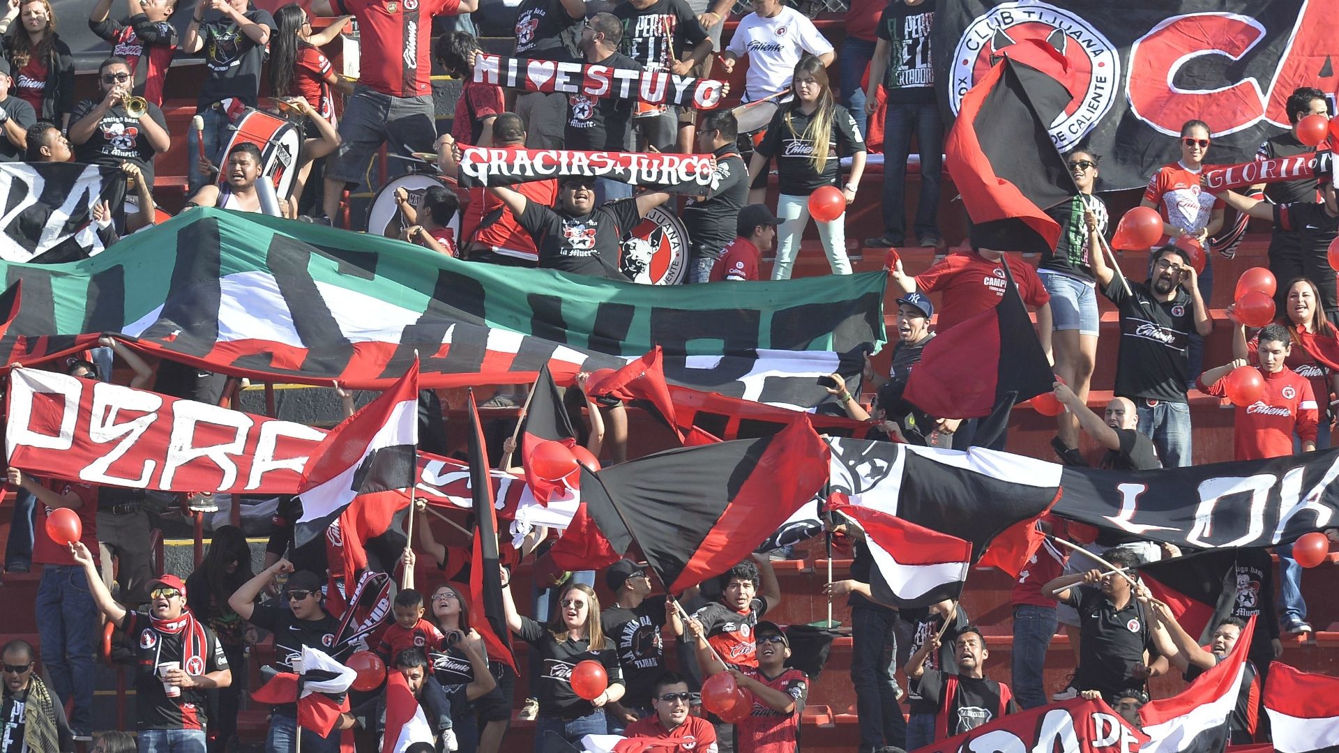 Xolos fans