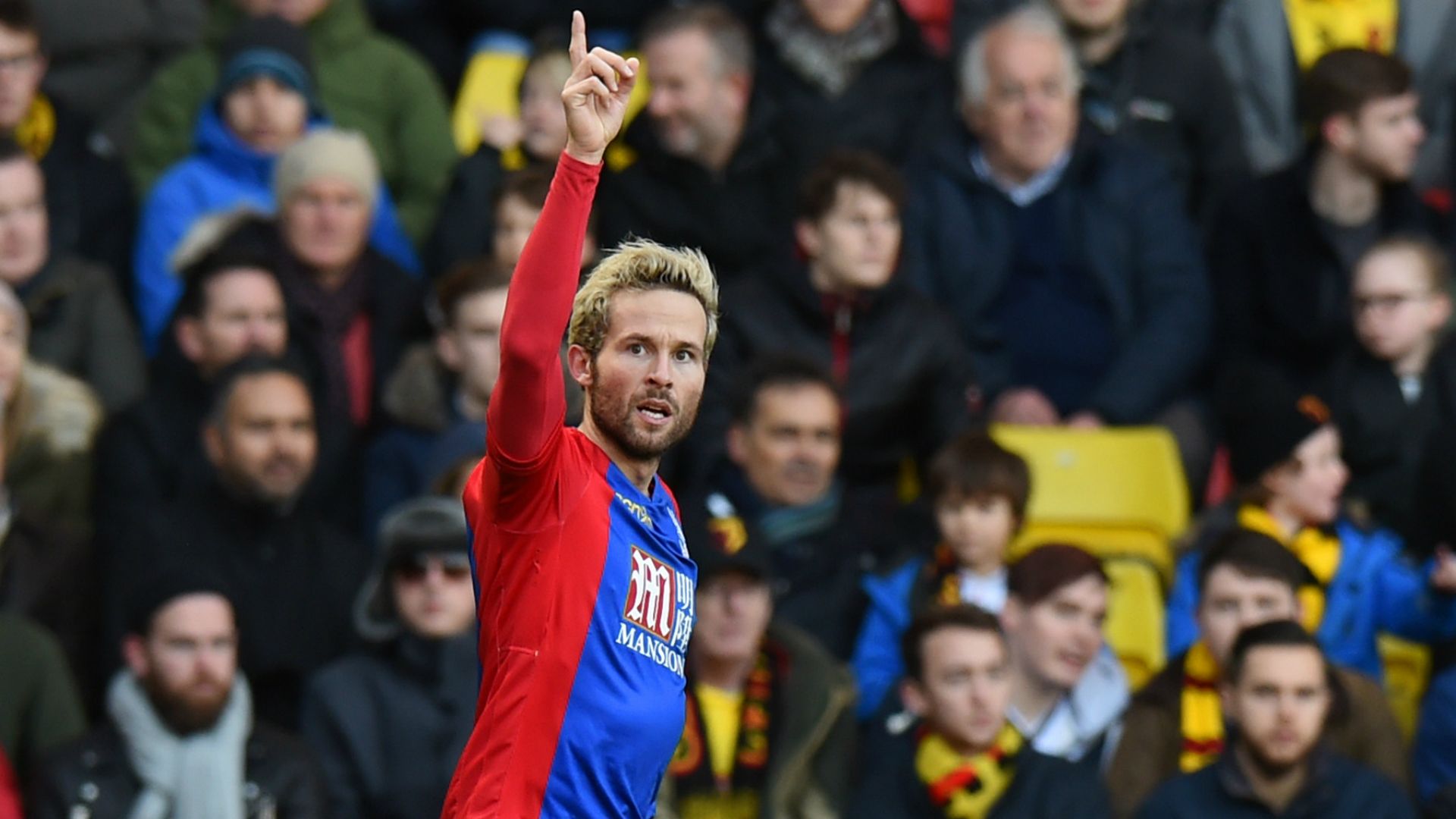 Yohan Cabaye Watford Crystal Palace