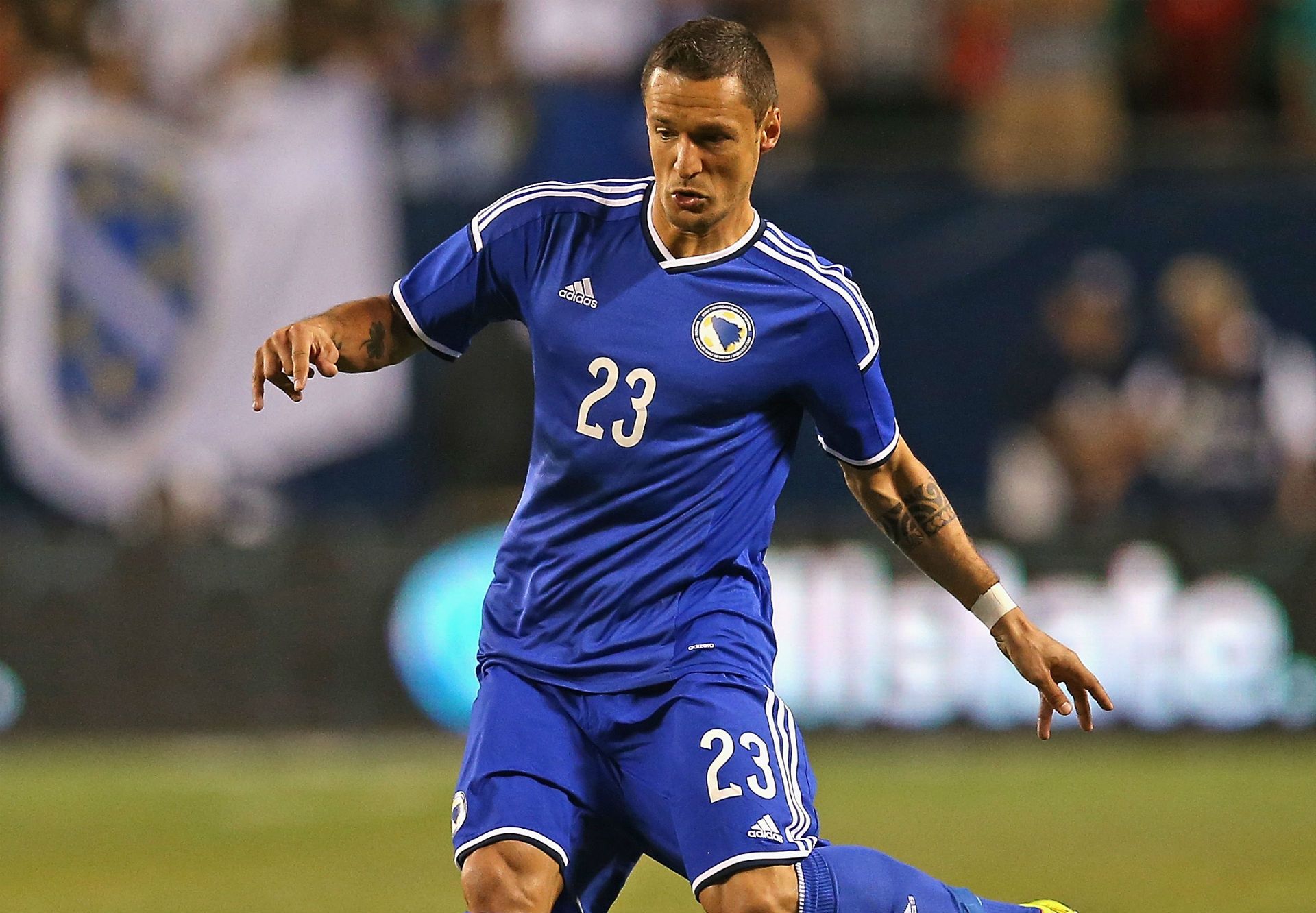 sejad salihovic bosna i hercegovina