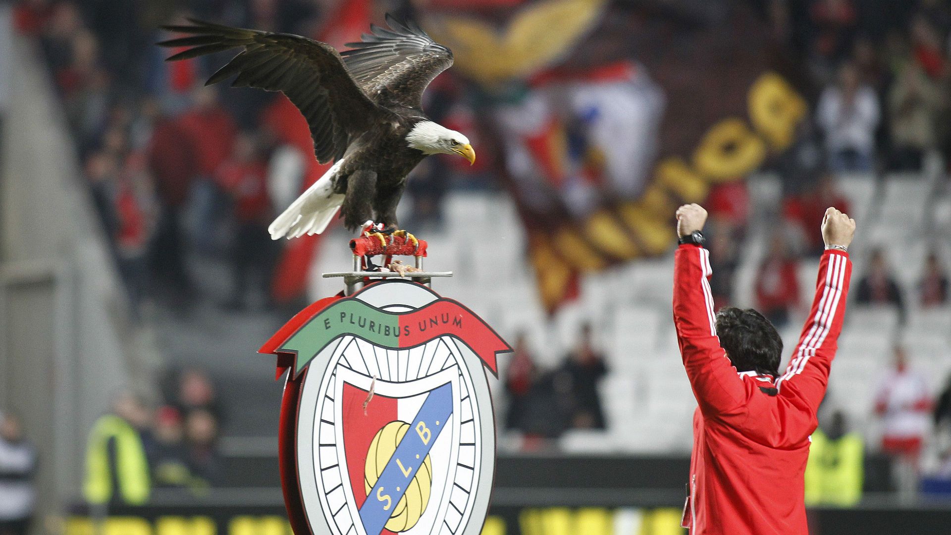 Benfica Eagle