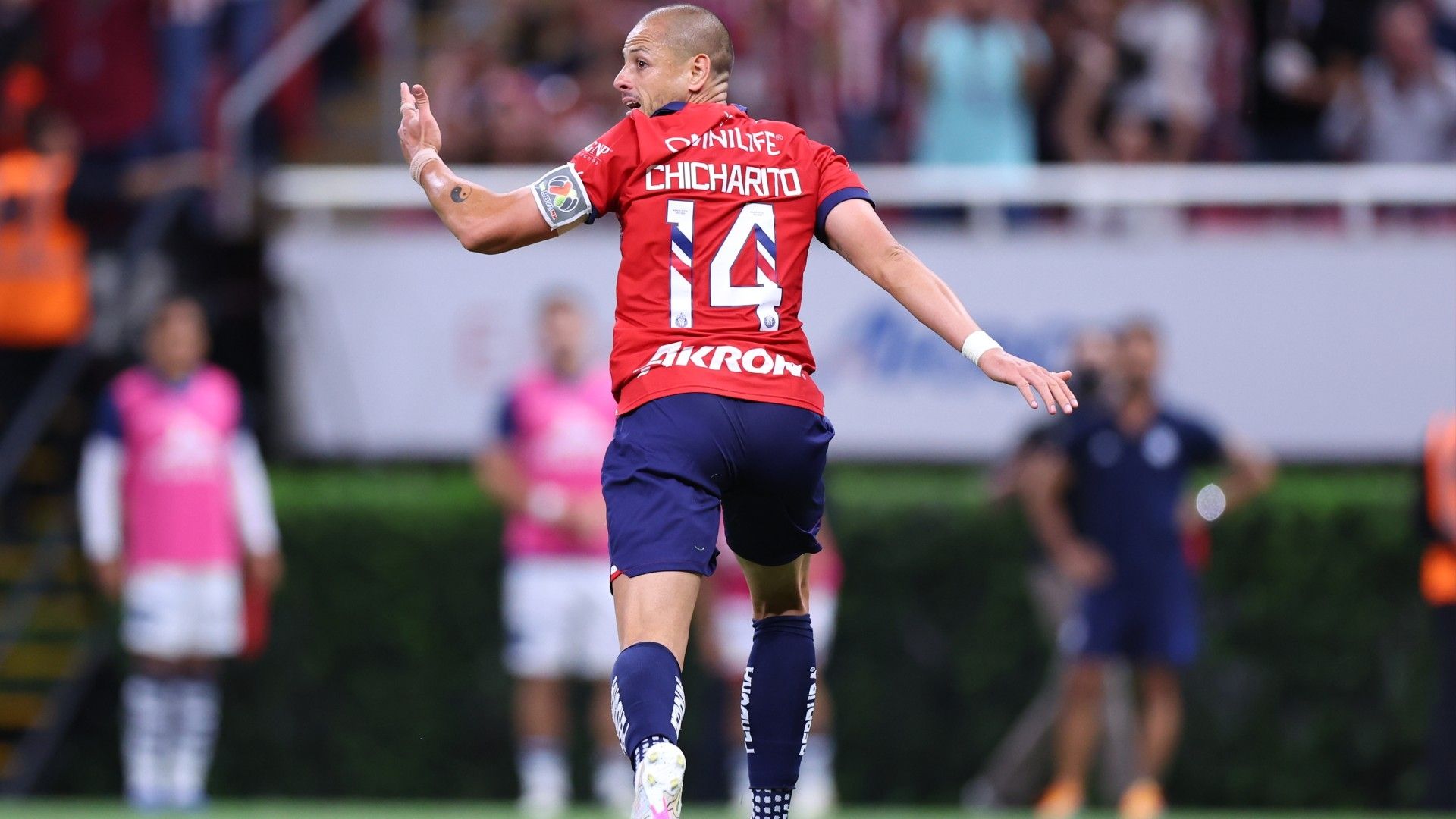 Chicharito Hernández Chivas Clausura 2024